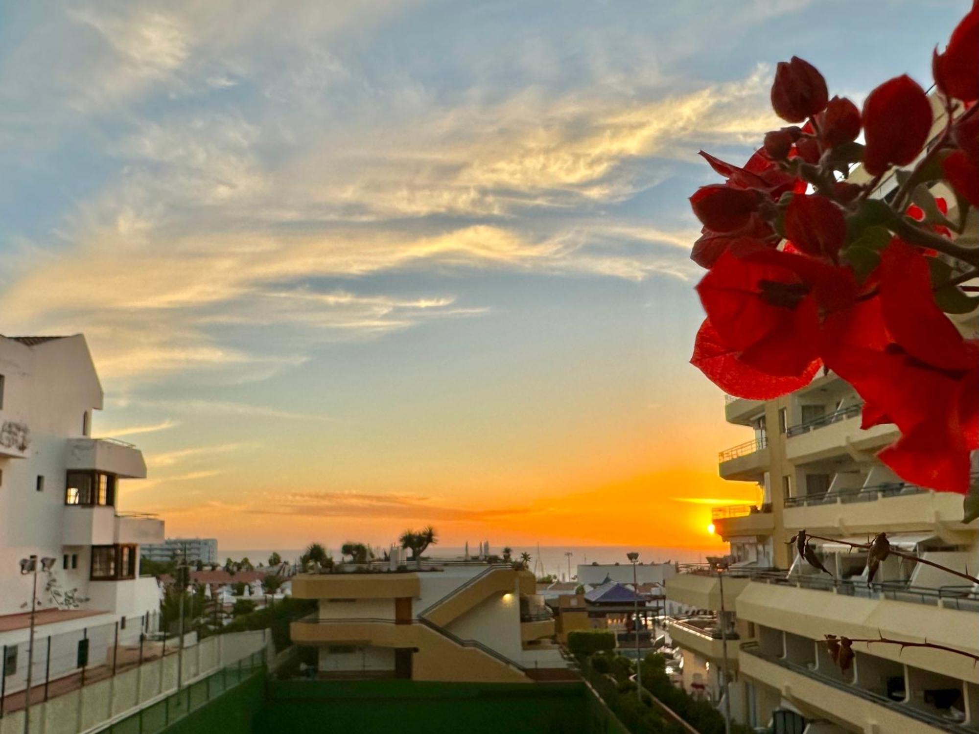 Apartment In Ocean Park, Costa Adeje, Tenerife Exteriör bild