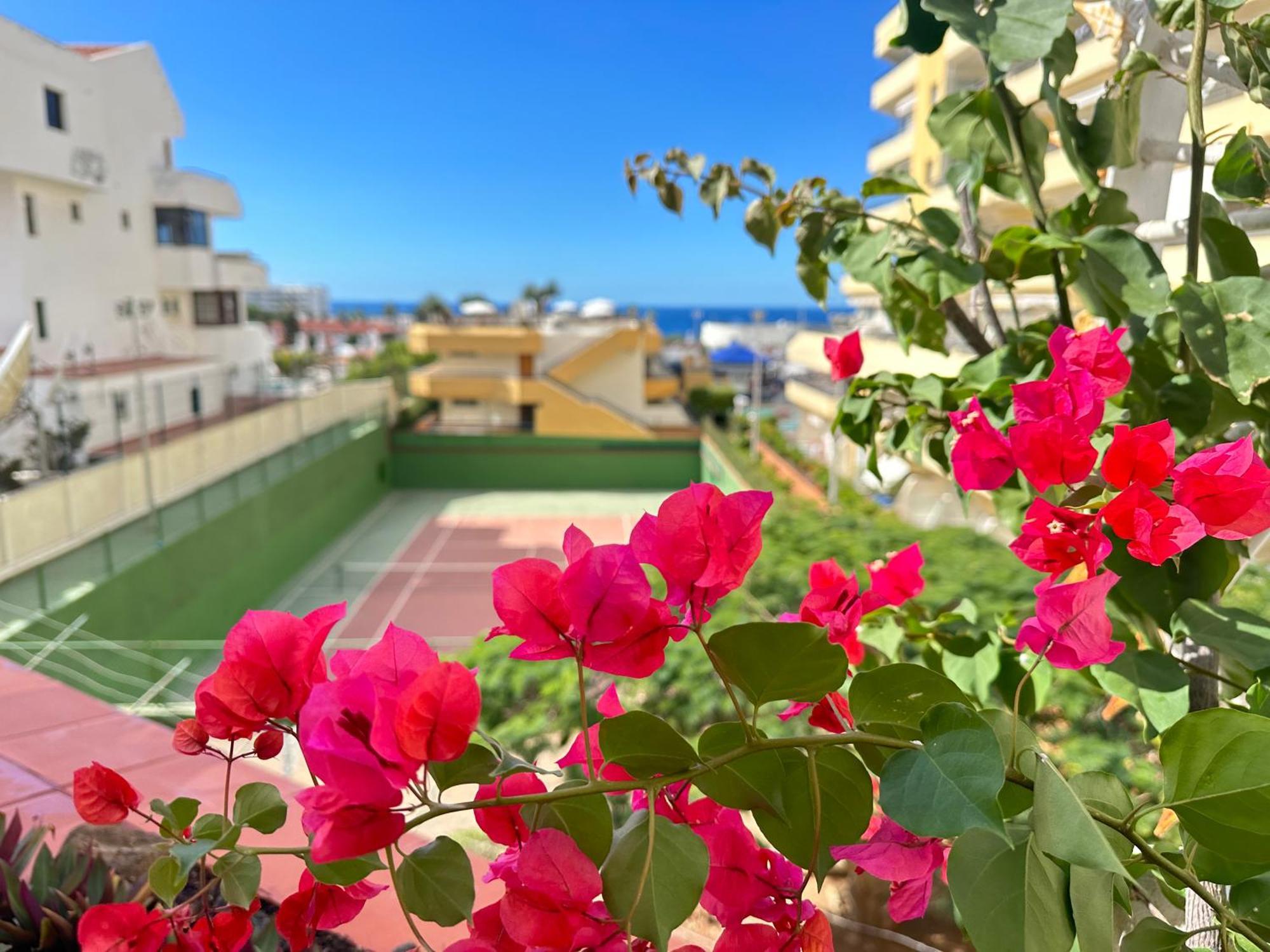 Apartment In Ocean Park, Costa Adeje, Tenerife Exteriör bild